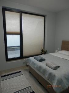 1 dormitorio con 1 cama y 2 ventanas en Апартамент Нова Дружба 2, en Sofía