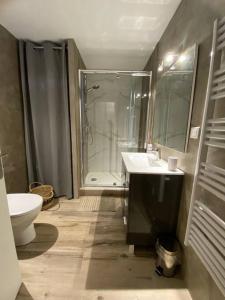 ein Bad mit einer Dusche, einem Waschbecken und einem WC in der Unterkunft Très bel appartement, port Sanary, in Sanary-sur-Mer