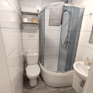 y baño con ducha, aseo y lavamanos. en Apartament Rybaki 22, en Poznan
