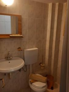 bagno con lavandino, servizi igienici e specchio di Φαράγγι Καρδαμύλης a Exochori