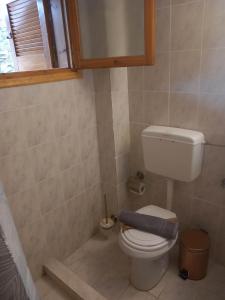 a small bathroom with a toilet and a window at Φαράγγι Καρδαμύλης in Exochori