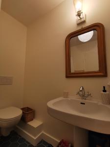 ein Badezimmer mit einem Waschbecken, einem WC und einem Spiegel in der Unterkunft Les Embruns in Bréhal
