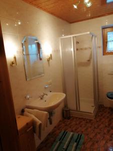 W łazience znajduje się prysznic i umywalka. w obiekcie Prandhof w mieście Pfarrwerfen
