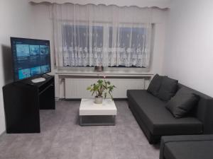 - un salon avec un canapé et une télévision dans l'établissement APPARTEMENT GEICHLINGEN, à Geichlingen