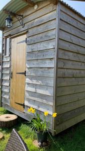 a wooden shed with a door in the grass at Willowdene shepherds hut in Oswestry
