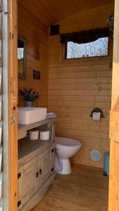a bathroom with a toilet and a sink in a cabin at Willowdene shepherds hut in Oswestry