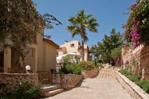 a street with a palm tree and a building at Lycia Hotel in Kaş