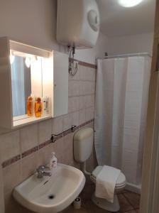 La salle de bains est pourvue d'un lavabo, de toilettes et d'une douche. dans l'établissement Affittacamere “La spezia “, à La Spezia
