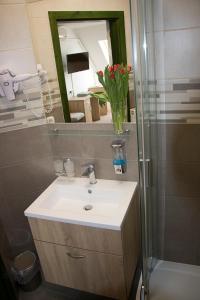 een badkamer met een wastafel en een douche met een spiegel bij Várfal Wellness Panzió in Pécs