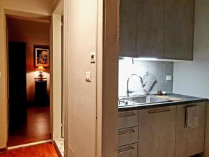 uma cozinha com um lavatório e uma bancada em bb26 Piave apartment city center em Cremona