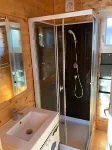 ein Bad mit einer Dusche und einem Waschbecken in der Unterkunft The Farm in Bouglon