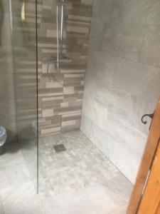 a bathroom with a shower with a glass door at Derry City center townhouse in Derry Londonderry