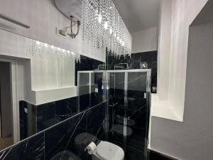 bagno con doccia in vetro e servizi igienici di Suite Apollinare a Ravenna