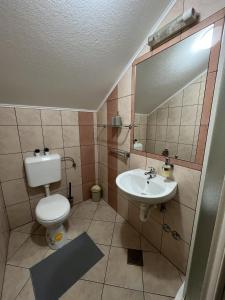 a bathroom with a toilet and a sink and a mirror at Green apartment Plitvice in Rakovica +18 photos