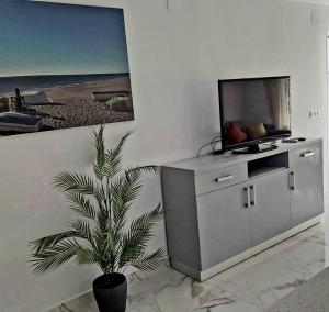 托雷莫利諾斯的住宿－Villa Musica，一间带电视和盆栽植物的客厅