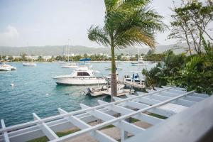 a boat is docked in a marina with boats at Seawind Beach Apartments in Montego Bay