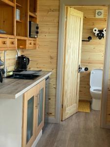 eine Küche mit einem Waschbecken und einem WC in einem Zimmer in der Unterkunft Keepers Shepherd hut with Hot Tub in Whitby