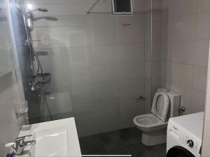 a small bathroom with a toilet and a sink at Exclusive ladadika apartment 1 in Thessaloniki +13 photos