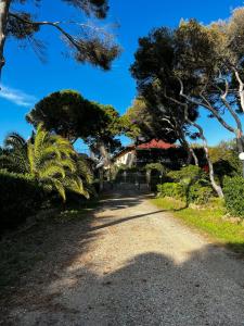 un sentiero che conduce a una casa con alberi di Villino La Fresia a Castiglioncello