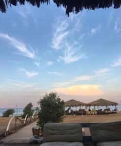 a view of a beach with umbrellas and chairs at Free Beach Camp in Nuweiba‘ el Muzeinah