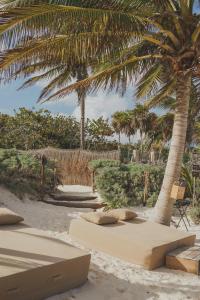 a group of beds on the beach with palm trees at Astral Tulum in Tulum