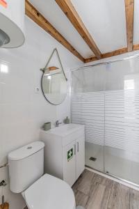 y baño con aseo, lavabo y ducha. en Casa das Virtudes - Estadia no coração do Porto, Lapa en Oporto