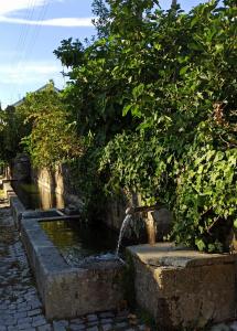 a stream of water coming out of a tree at Villa Tauria- Casa de campo em aldeia medieval in Sabugal