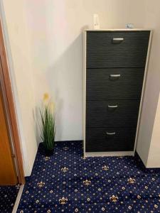 un comò nero in una stanza con una pianta di Cozy & warm studio a Bucarest Altre 6 foto