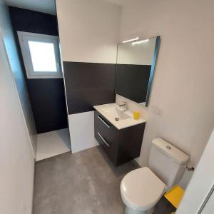 a bathroom with a toilet and a sink and a mirror at Studio avec terrasse et jardin à 100 m de la plage in Ploemeur