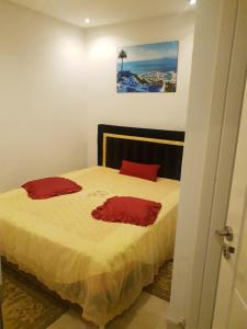 1 dormitorio con 1 cama con 2 almohadas rojas en La deuxième perla sidi bou said en Sidi Bou Saïd