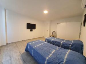 1 Schlafzimmer mit 2 Betten und einem TV an der Wand in der Unterkunft Departamento en Arroyito- Córdoba in Arroyito
