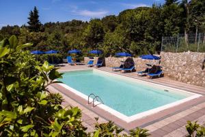 里帕貝拉的住宿－Hotel Villa Paradiso，一个带椅子和蓝伞的游泳池