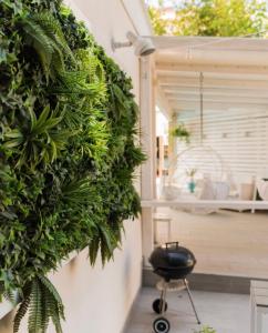 a green hedge on the side of a building at Apparthotel Ardea in Riccione