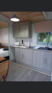 uma cozinha com um lavatório e uma bancada em Shepherds hut above mawddach estuary em Dolgellau