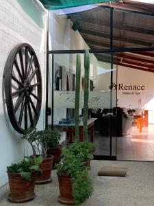 una mostra con una ruota e piante in vaso in un museo di Renace Suites a Tacna