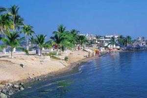 una spiaggia con palme e una bacinella d'acqua di Casa Las Palmas Barra de Navidad, Jalisco. a Barra de Navidad