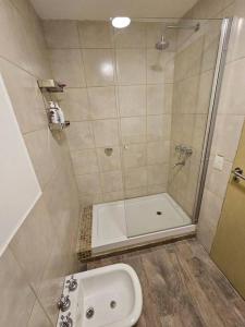 a bathroom with a shower and a toilet and a sink at Bariloche: Exclusivo departamento in San Carlos de Bariloche