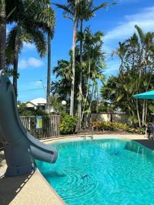 a swimming pool with a chair in front of some palm trees at Galaxy Mackay Motor Inn in Mackay