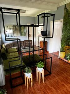 a room with two bunk beds and two plants at Casa con patio! Hermosa zona y muy silenciosa! in Beccar