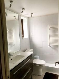 bagno con lavabo, servizi igienici e specchio di Departamento frente al Lago en Puerto Varas. a Puerto Varas