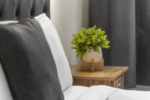 a potted plant on a table next to a couch at Adelaide Paringa in Adelaide