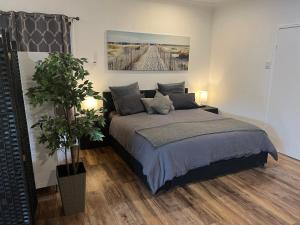 Un dormitorio con una cama y una planta en maceta. en Berghofen, en Mount Tamborine 30 fotos más