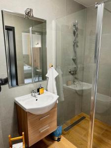 a bathroom with a sink and a shower at Hotel Czerwone Korale in Cielimowo