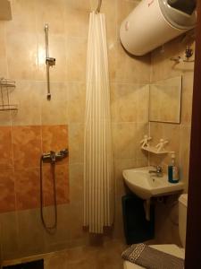 a bathroom with a shower and a toilet and a sink at APARTAMENT-DAMO in Pamporovo