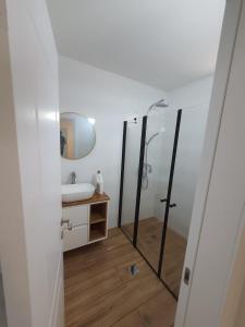 een badkamer met een wastafel en een spiegel bij נופש על הכנרת in Tiberias