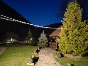 un patio con cenador por la noche con luces en Cabana Valea Sadului, en Rau Sadului 25 fotos más