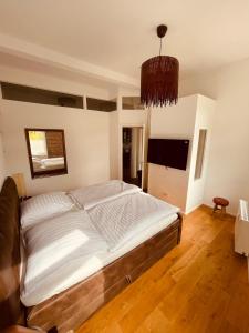 1 dormitorio con 1 cama grande y TV de pantalla plana en Deutzer Traumappartment, en Colonia