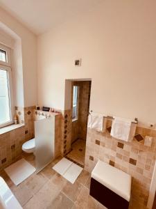 a bathroom with a toilet and a shower at Deutzer Traumappartment in Cologne