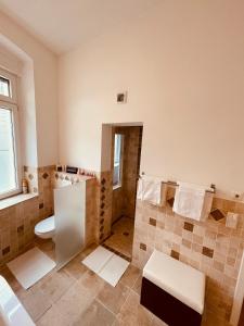 a bathroom with a toilet and a shower at Deutzer Traumappartment in Cologne +4 photos