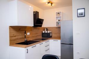 Kuchyň nebo kuchyňský kout v ubytování Apartment Fioretti